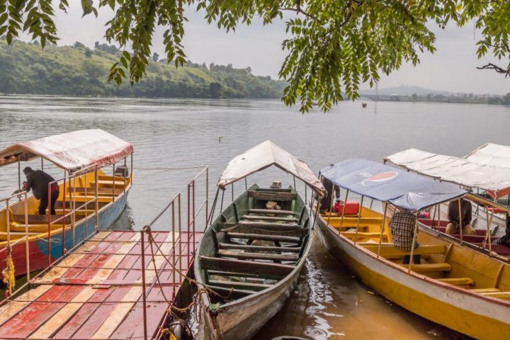 The Nile Source