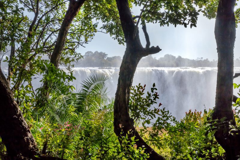 Victoria falls